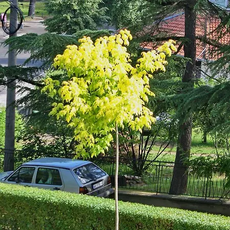 Apartmani15
