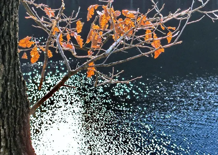 Apartmani15 * Arandjelovac